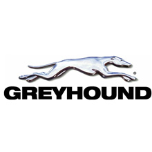 Greyhound